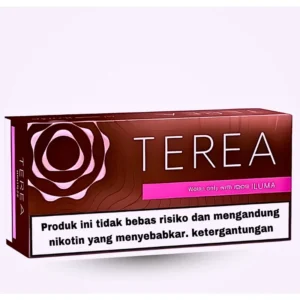 Indonesia Bronze terea
