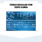 Terea Regular Japan in Dubai