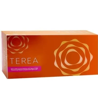Heets Terea Amber Kazakhstan