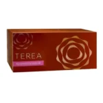 Heets terea Bronze Kazakhstan edition dubai