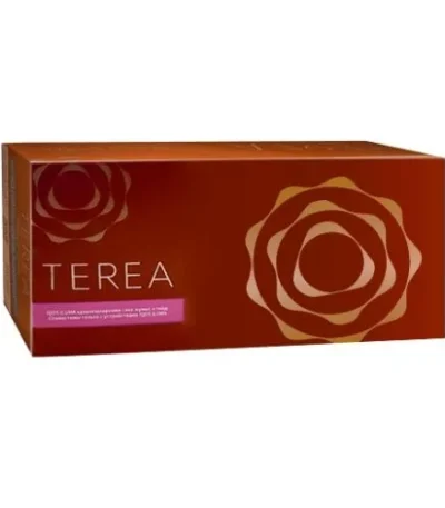 Heets terea Bronze Kazakhstan edition dubai